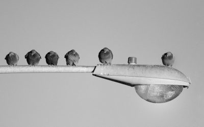 10 Compétences Humaines Indispensables pour Prospérer à l’Ère de l’IA