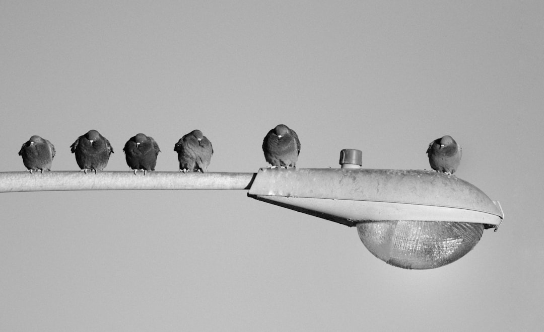 10-comp-tences-humaines-indispensables-pour-prosp-rer-l-re-de-l-ia-1760866149489