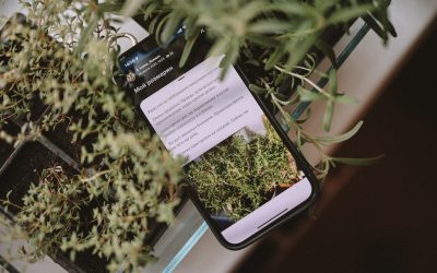 Conseils pour choisir votre siège d’avion : Où trouver le confort ultime en 2025 ?