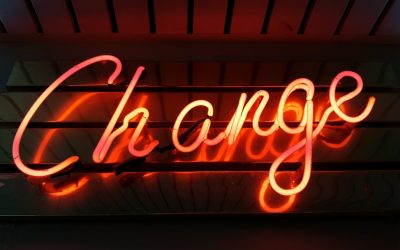 La Mode Durable : Votre Guide Complet des Marques Éthiques en 2025