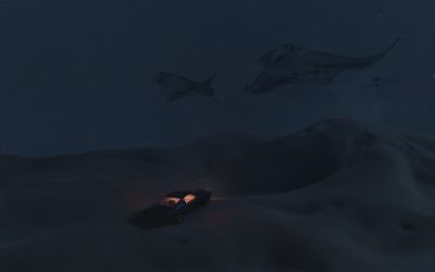 Le Guide Ultime pour Voyager Seul en 2025 : Votre Aventure vous Attend !