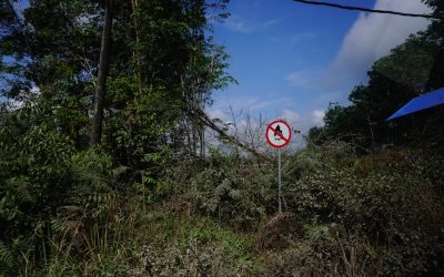 Les 10 Destinations de Rêve Incontournables pour l’Après-2025 : Préparez Votre Voyage d’une Vie !