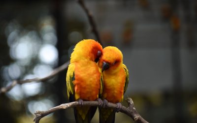 Les phrases à éviter absolument au début d’une relation amoureuse