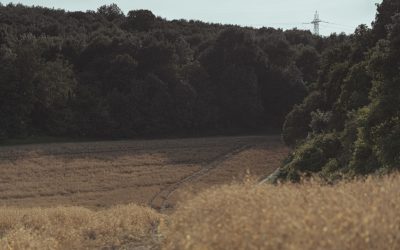 Les Secrets Scientifiques d’un Sommeil Réparateur en 2025