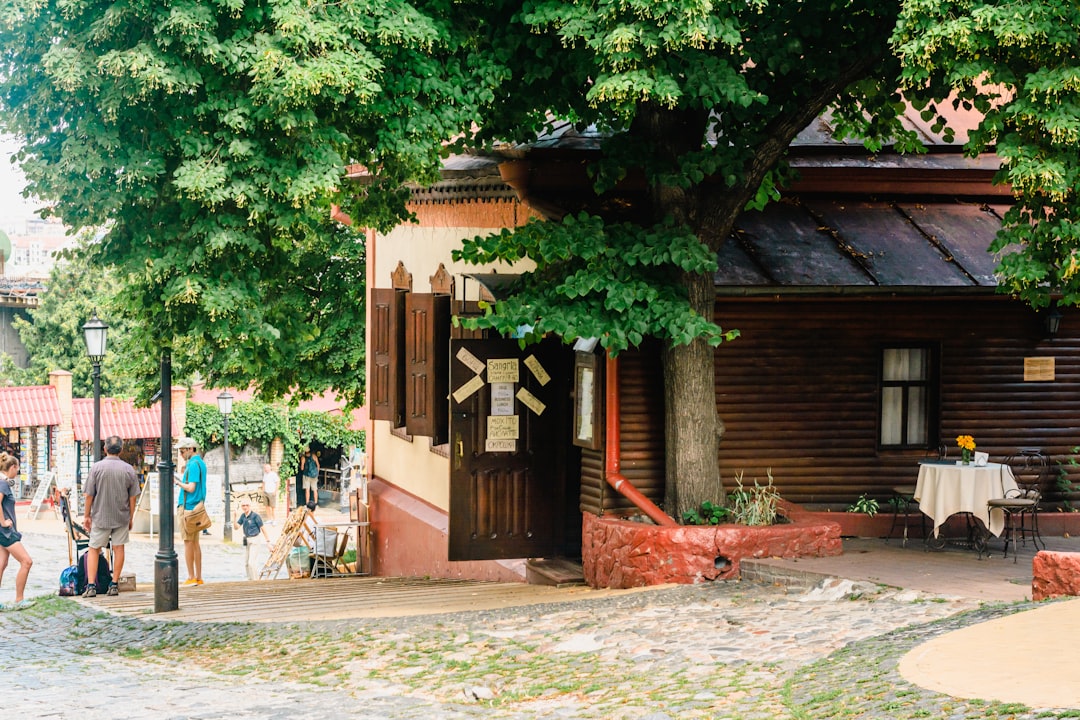 ma-trisez-l-art-de-l-organisation-du-rangement-et-du-nettoyage-votre-guide-ultime-pour-un-foyer-serein-1759872562343